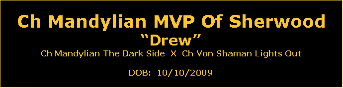 Text Box: Ch Mandylian MVP Of SherwoodDrewCh Mandylian The Dark Side  X  Ch Von Shaman Lights OutDOB:  10/10/2009